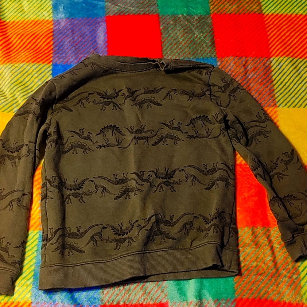 Boys Dino Crewneck Sweatshirt